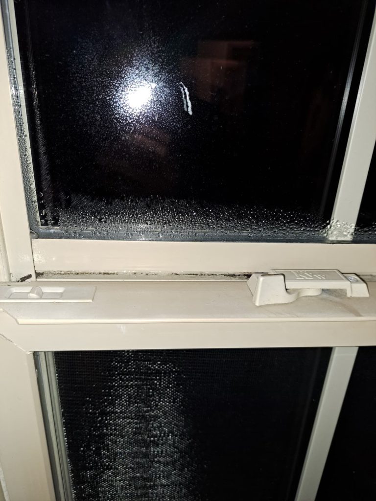 Heavy condensation and black residue on a vinyl window frame — long-term moisture damage from elevated indoor humidity in a Wisconsin home